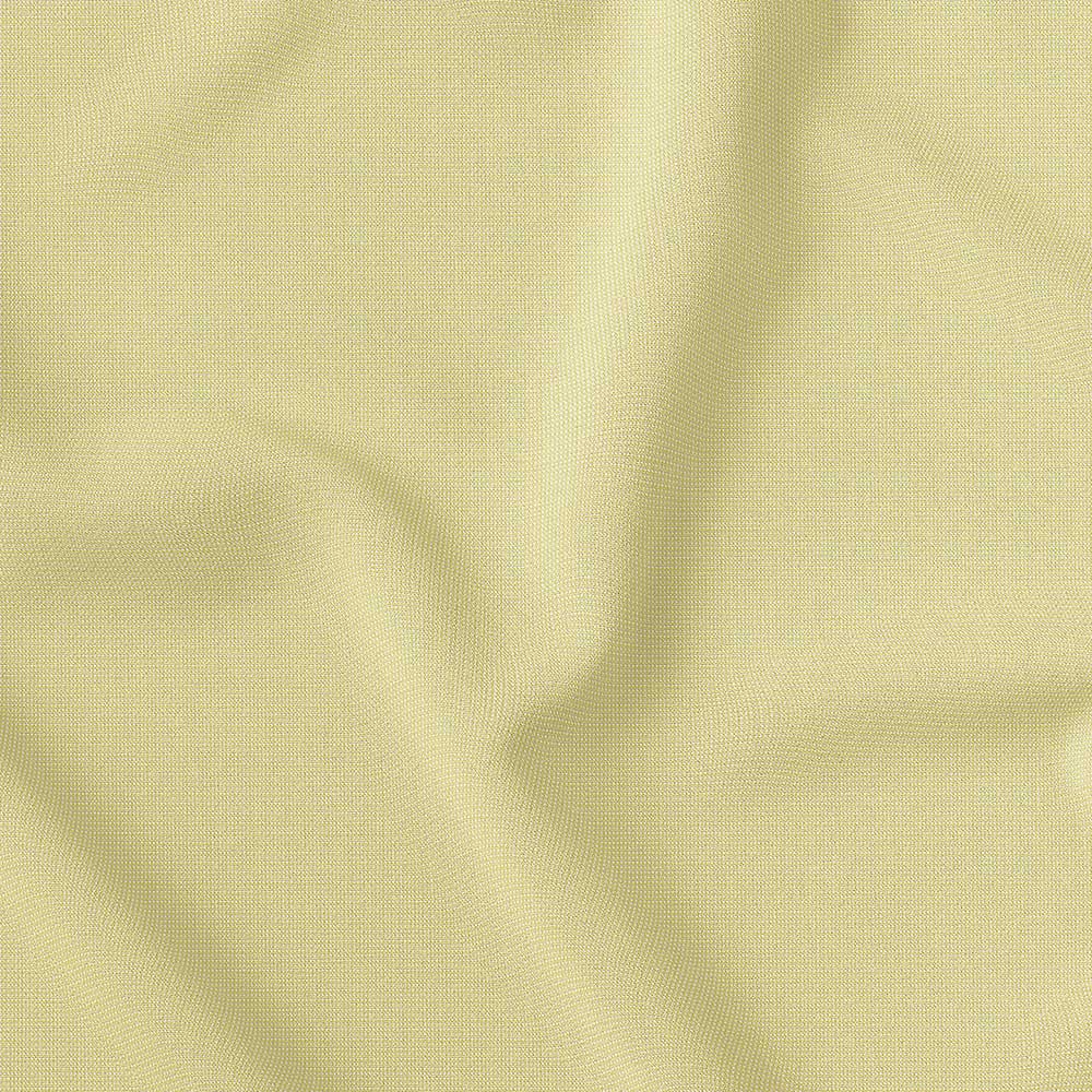 Beige in Solid Color BT100102