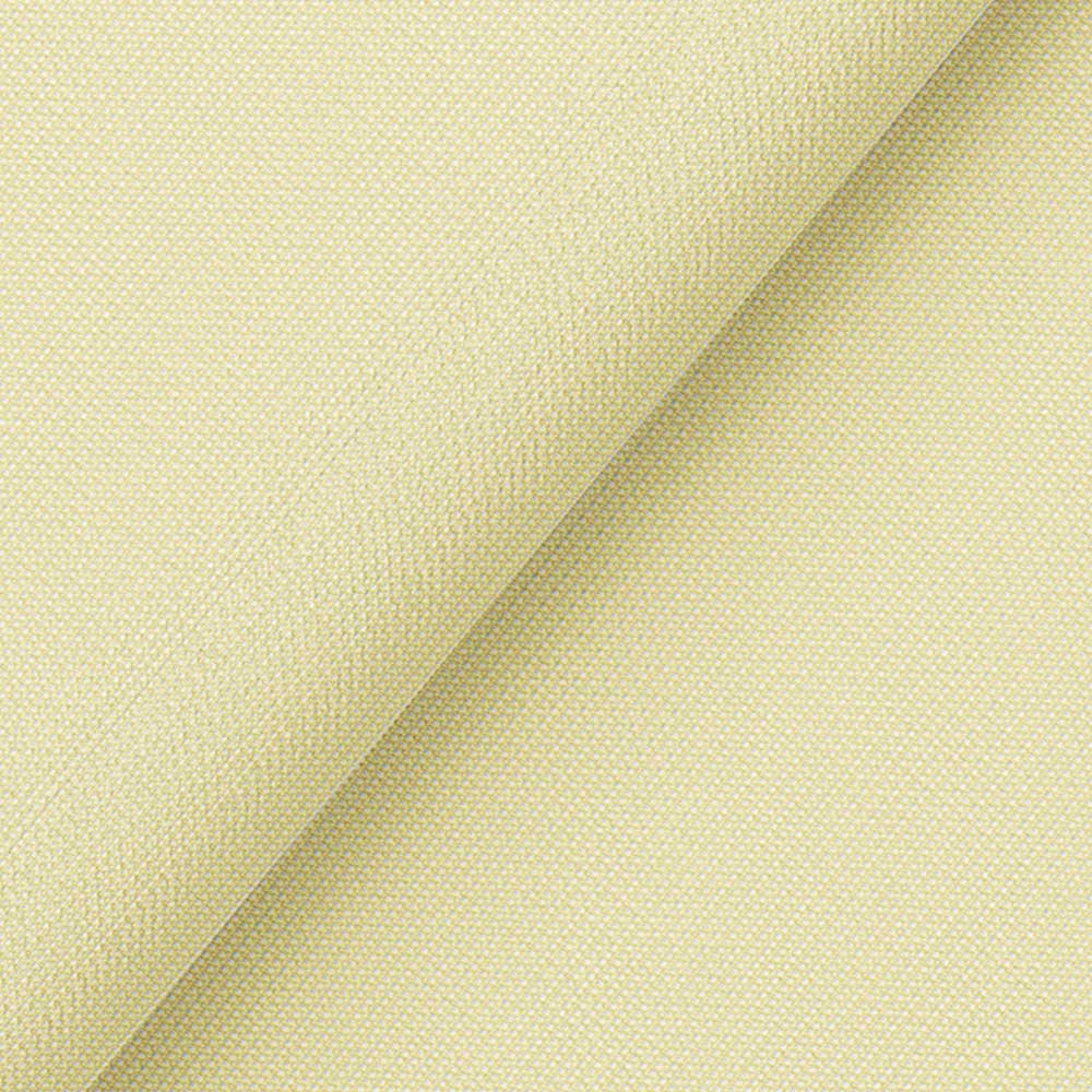 Beige in Solid Color BT100102